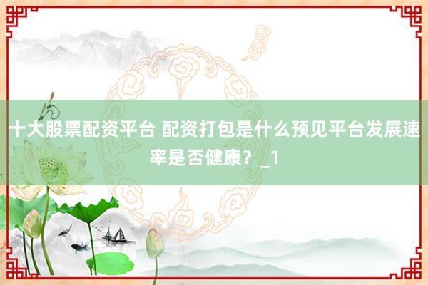 十大股票配资平台 配资打包是什么预见平台发展速率是否健康？_1