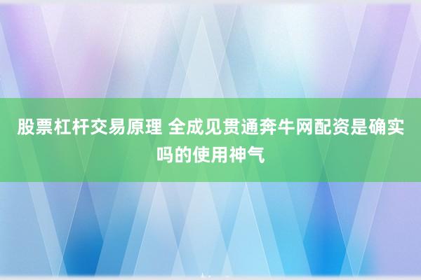 股票杠杆交易原理 全成见贯通奔牛网配资是确实吗的使用神气