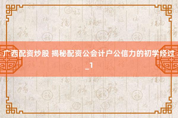 广西配资炒股 揭秘配资公会计户公信力的初学经过_1